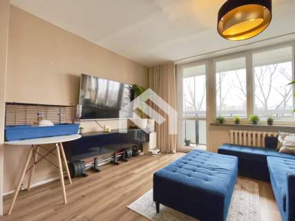 3 pokoje remont generalny Piwnica Bródno