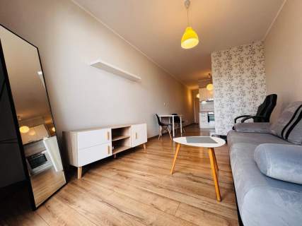 Mieszkanie do wynajęcia, 30,14 m2, Szczecin