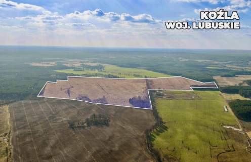 Działka rolna na sprzedaż aż 92,5 ha