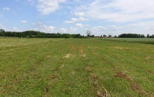 Kal / Jezioro Mamry 1,42 ha z linią brzegową działka in