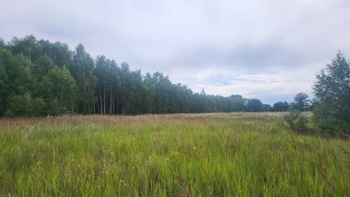 Działki budowlane w okazjonalnej cenie - Malownicze Imielno