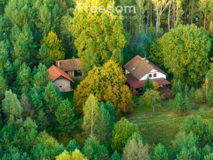 Leśne siedlisko 6,28 ha dom gościnny