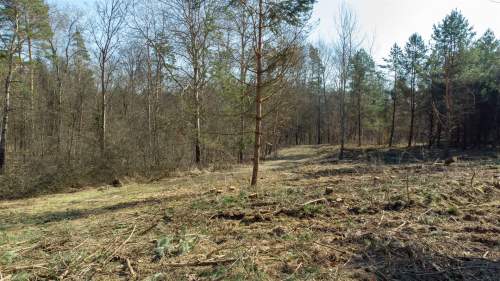 Działka budowlana na sprzedaż, 1744 m2, Elgnówko