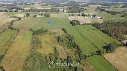 działka rolna 2,22 ha - Gowidlino, pow. kartuski