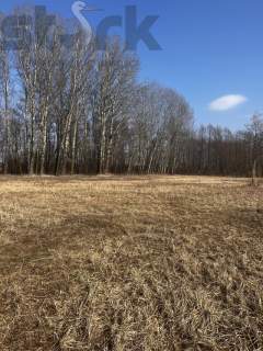 Działki z MPZP 9MN/U w połowie drogi z Teresina do Błonia