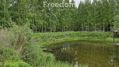 Działka ze stawem otoczona lasem Warmia Mazury
