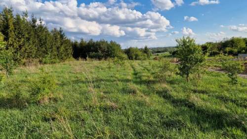 Działka budowlana na sprzedaż, 771 m2, Sadowie