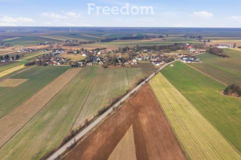 11 ha w Korytnie gm. Masłowice