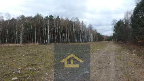 Działka budowlana w gminie Wiazowna