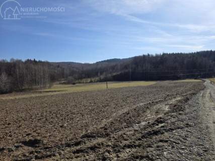 UROKLIWA DZIALKA 1,10 HA W JODŁOWEJ - OTOCZONA NATURĄ, Z P