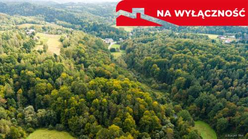 Działka rolno-leśna w Jodłówce Tuchowskiej