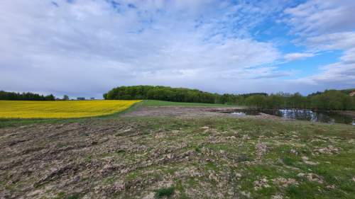 1,56 ha DZIAŁKA BUDOWLANA ZE STAWEM 0,40 ha