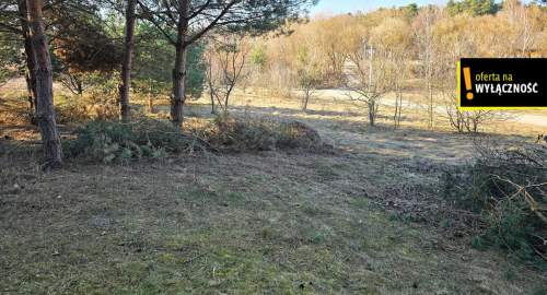 Działka w Życinach przy jeziorze pod domek