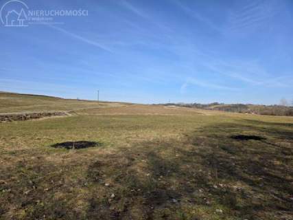 UROKLIWA DZIALKA 1,10 HA W JODŁOWEJ - OTOCZONA NATURĄ, Z P