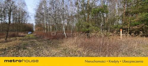 Działka na sprzedaż, 20000 m2, Dąbrówka-Niwka