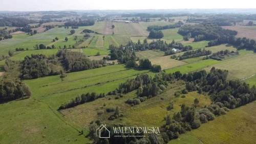działka rolna 2,22 ha - Gowidlino, pow. kartuski