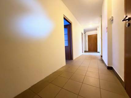 Wolny od zaraz, blisko obwodnicy, parking