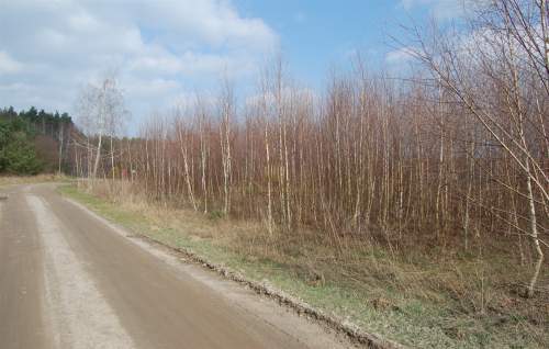 Działki budowlane Nekla 1000 m2 i 1535 m2.
