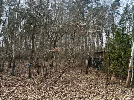 Na sprzedaż 2 połączone działki leśne