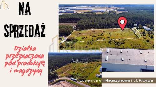 Działka przeznaczona pod produkcję, magazyny