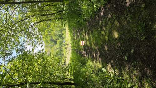 Bieszczady, Olchowiec - działki z MPZP