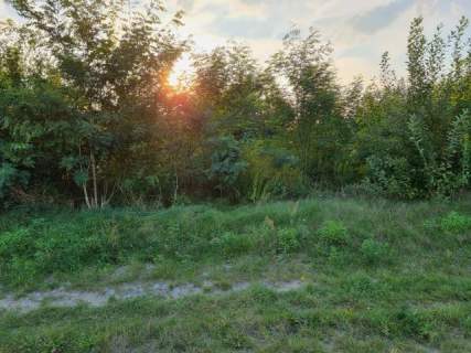 Działka budowlana na sprzedaż, 2500 m2, Zaborówek