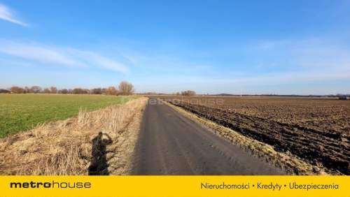 Działka na sprzedaż, 135000 m2, Nowy Drzewicz