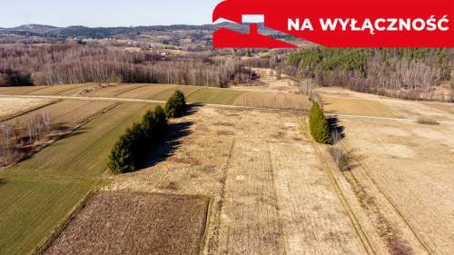 Działka budowlano-rolna 62 ar OŁPINY 