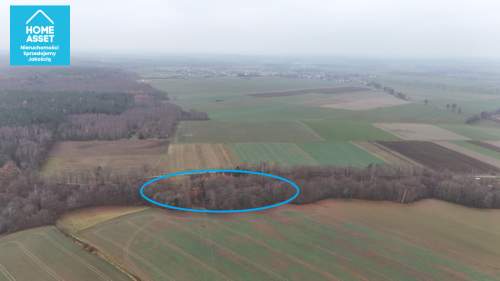 Działka z WZ i pozw. na budowę w otoczeniu lasu.