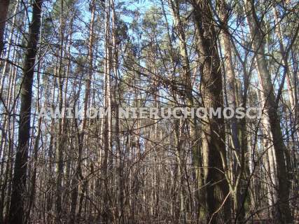 Działka budowlana na sprzedaż, 3800 m2, Książenice
