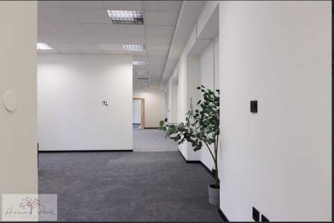 Lokal 205m2, przy ul. Piotrkowskiej-deptak