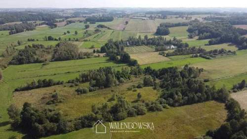 działka rolna 2,22 ha - Gowidlino, pow. kartuski