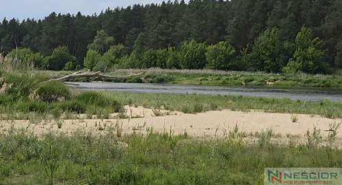 Działka rekreacyjna 1000 m2 w malowniczej okolicy
