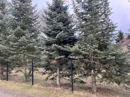 Działka ROD przy ul. Bukowskiej