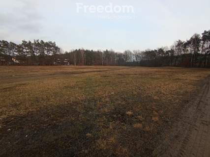 Działka budowlana z lasem, blisko autostrady A1