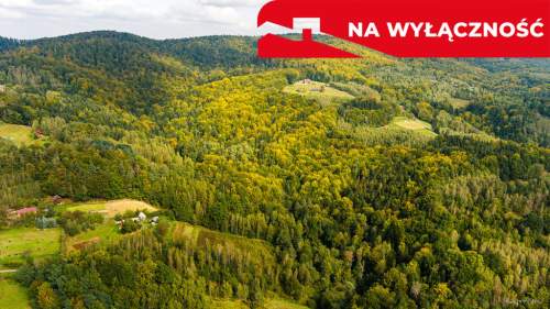 Działka rolno-leśna w Jodłówce Tuchowskiej