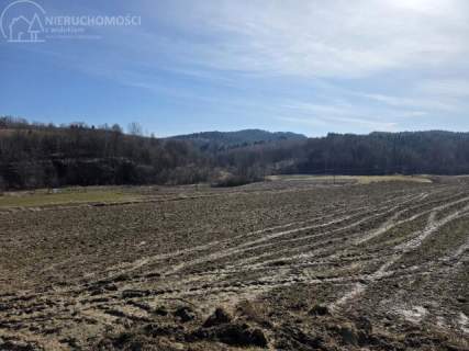 UROKLIWA DZIALKA 1,10 HA W JODŁOWEJ - OTOCZONA NATURĄ, Z P