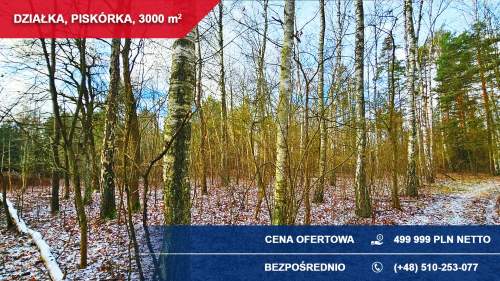 Działka budowlana 3000 m PRZY LESIE   Piskórka, gm. Prażmów
