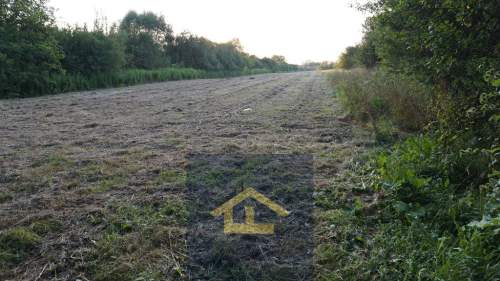 Nieruchomość w Nadbrzeżu.