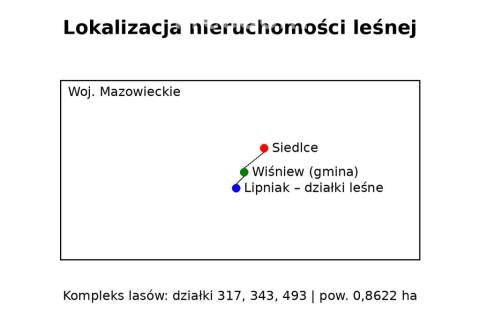 Kompleks leśny 0,86 ha Lipniak, Wiśniew