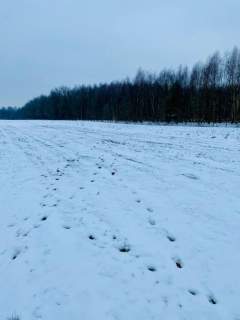  TOP Działki budowlane w Promocyjnej cenie