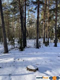 Działka budowlana w lesie, 1500 m .