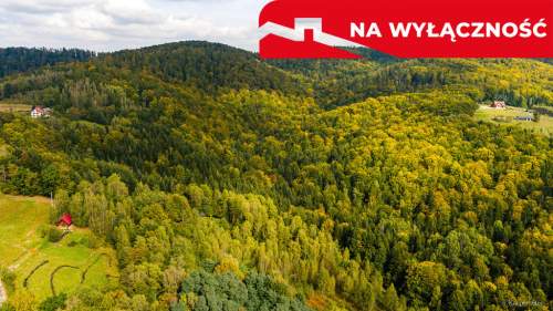 Działka rolno-leśna w Jodłówce Tuchowskiej