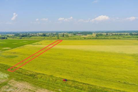Działka rolna Szczurowa- Brzesko-Małopolska