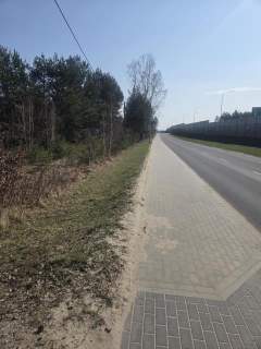 Usługowa, blisko Szosy Lubelskiej, MPZP, drzewa