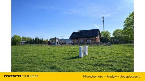 Działka, Nowe Rowiska