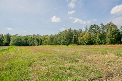 Działka zagrodowa Poręba Radlna-gm. Tarnów