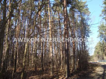 Działka budowlana na sprzedaż, 3800 m2, Książenice