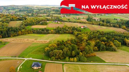 Działka Lichwinie. Rolno-leśna,   Nowa Cena   