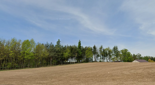 Działka 5900m2, z domem zalesiona